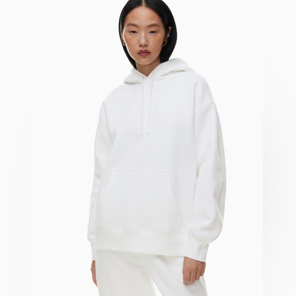 Aritzia Tna Cozy Fleece Boyfriend Hoodie